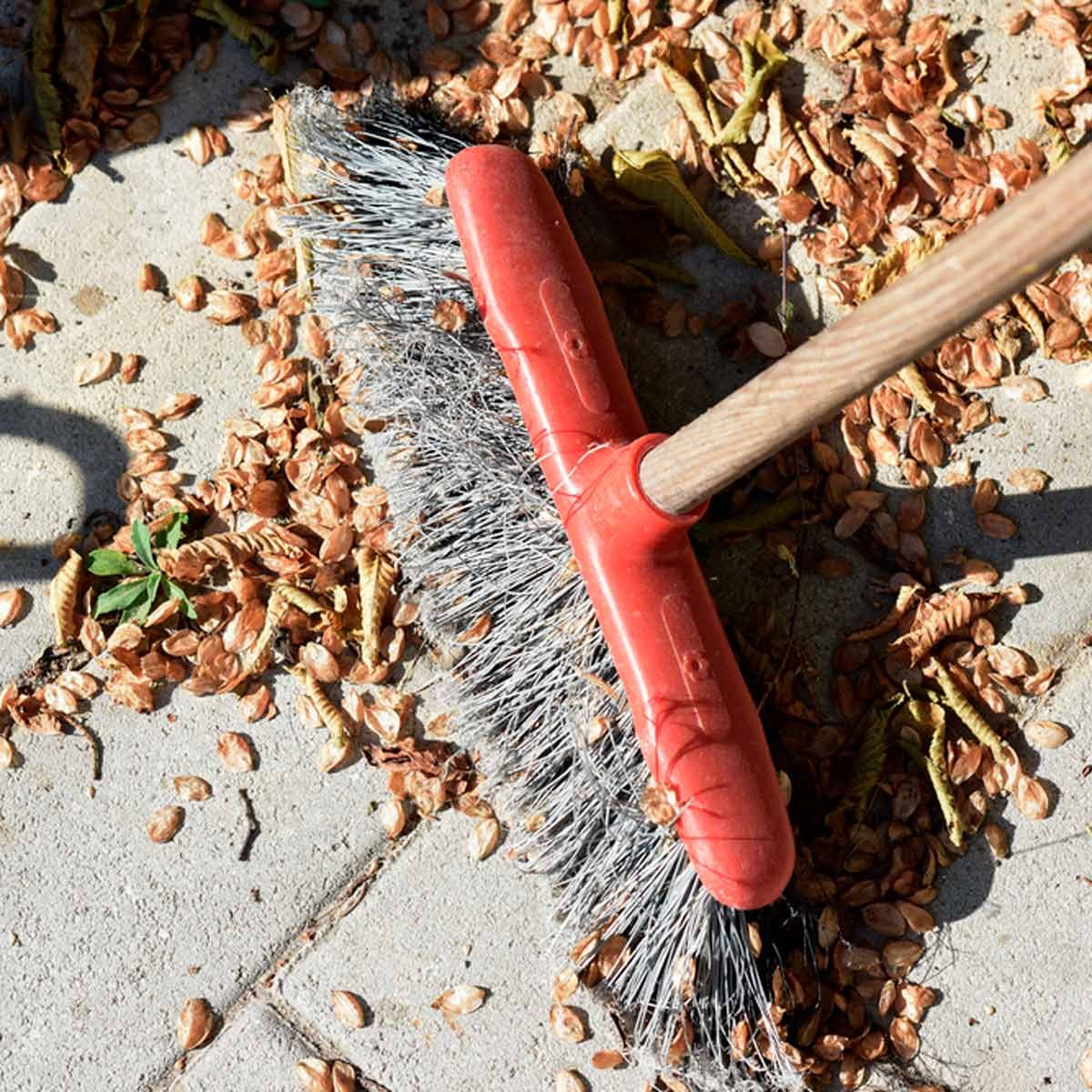 Monthly Home Cleaning Checklist: 19 Essential Tasks