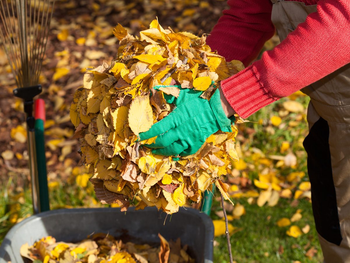 13 Things That Will Ruin Your Vacuum (And How to Avoid It)