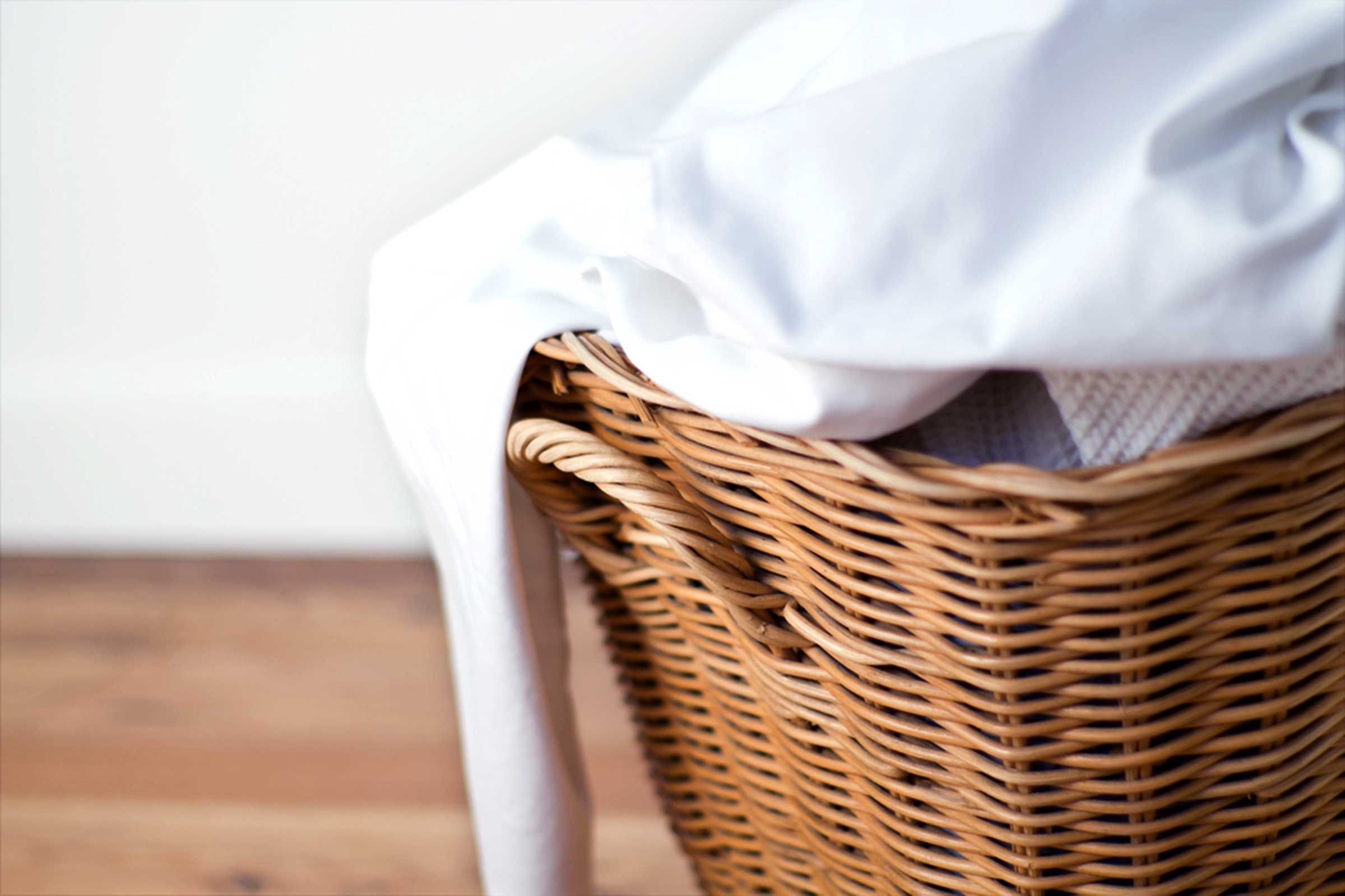 Hidden Germs: 15 Surprisingly Dirty Everyday Objects (Beyond the Toilet Seat)