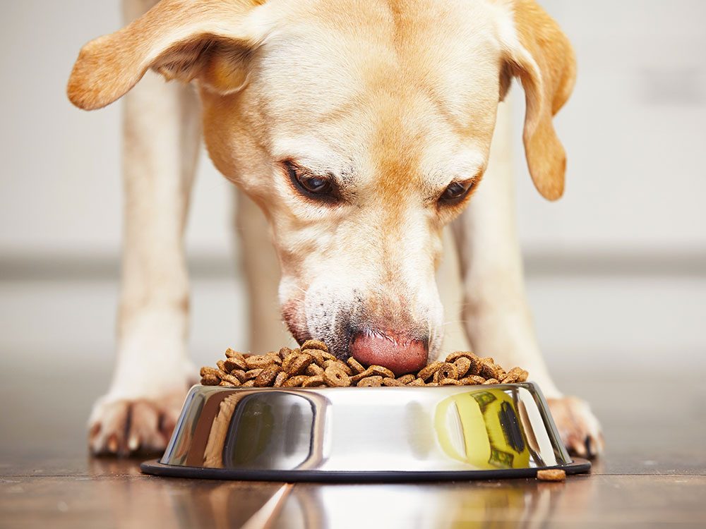 Hidden Germs: 15 Surprisingly Dirty Everyday Objects (Beyond the Toilet Seat)