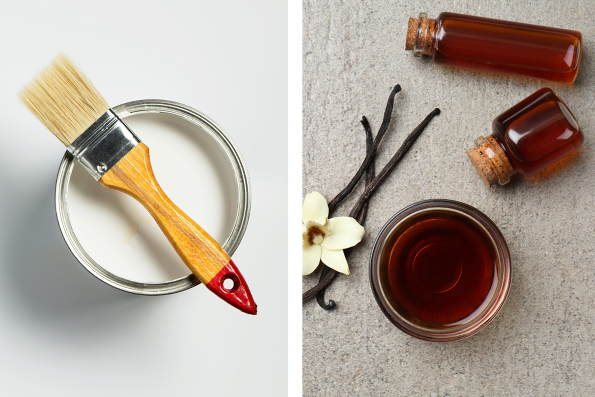 Natural Fridge Deodorizers: Eliminate Odors with Pantry Staples