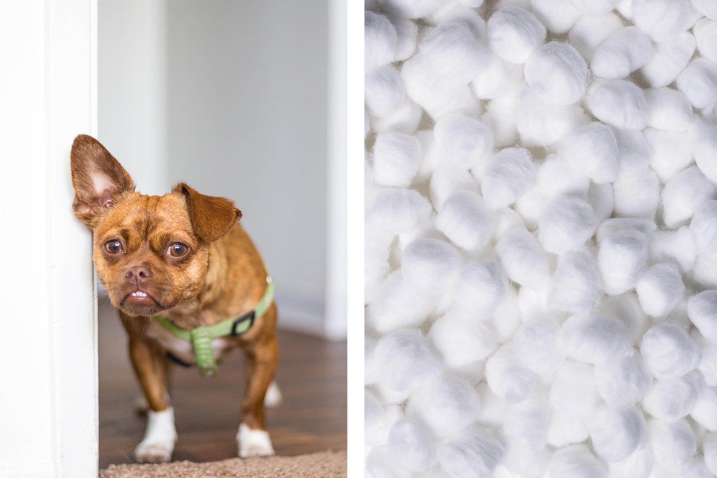 Natural Fridge Deodorizers: Eliminate Odors with Pantry Staples