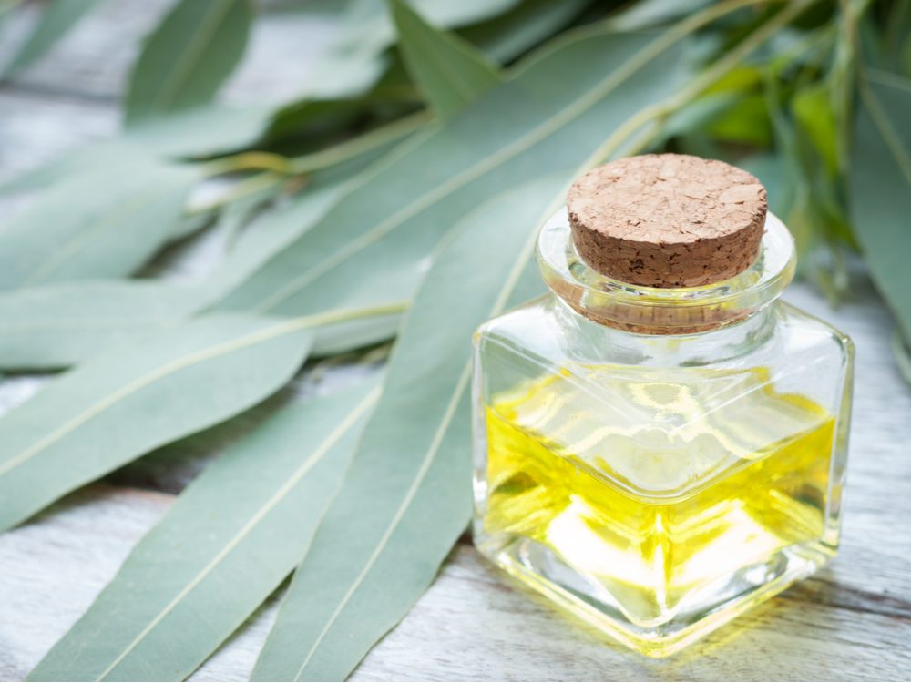 Eliminate Shoe Odor: 10 Effective & Easy Solutions