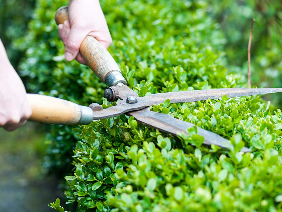 Weekly Home Maintenance: 9 Quick Tasks Every Homeowner Should Do