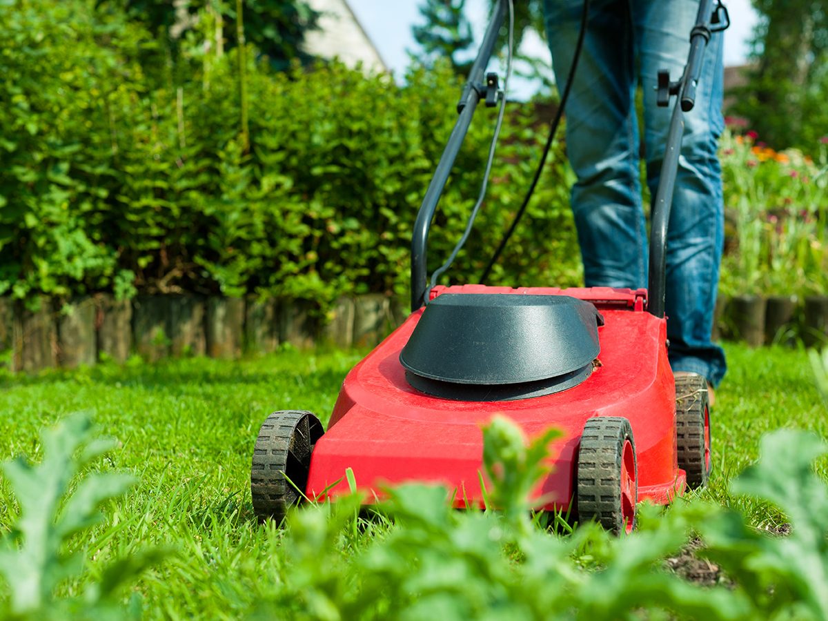 Weekly Home Maintenance: 9 Quick Tasks Every Homeowner Should Do