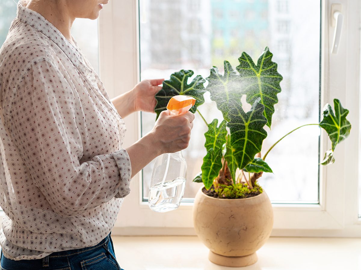 Weekly Home Maintenance: 9 Quick Tasks Every Homeowner Should Do