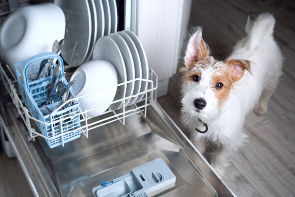 Extend Dishwasher Lifespan: 20+ Common Mistakes to Avoid