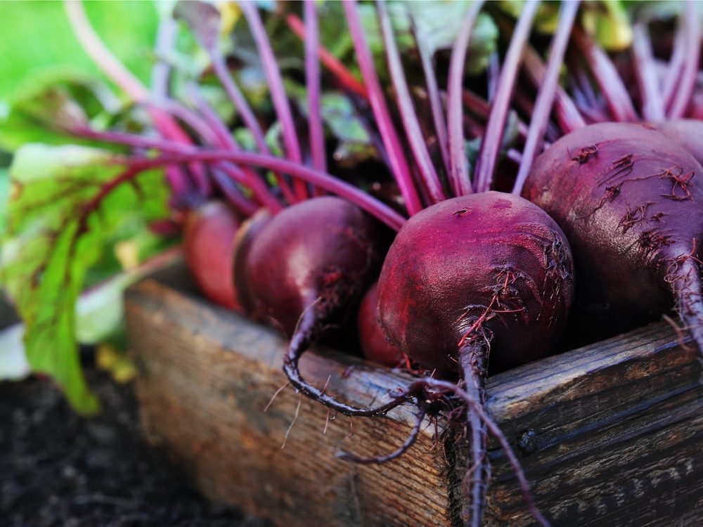 Beets: Health Benefits, Risks & Cancer Prevention - A Comprehensive Guide