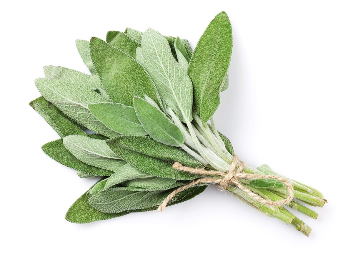 10 Health-Boosting Herbs & Spices to Incorporate into Your Diet