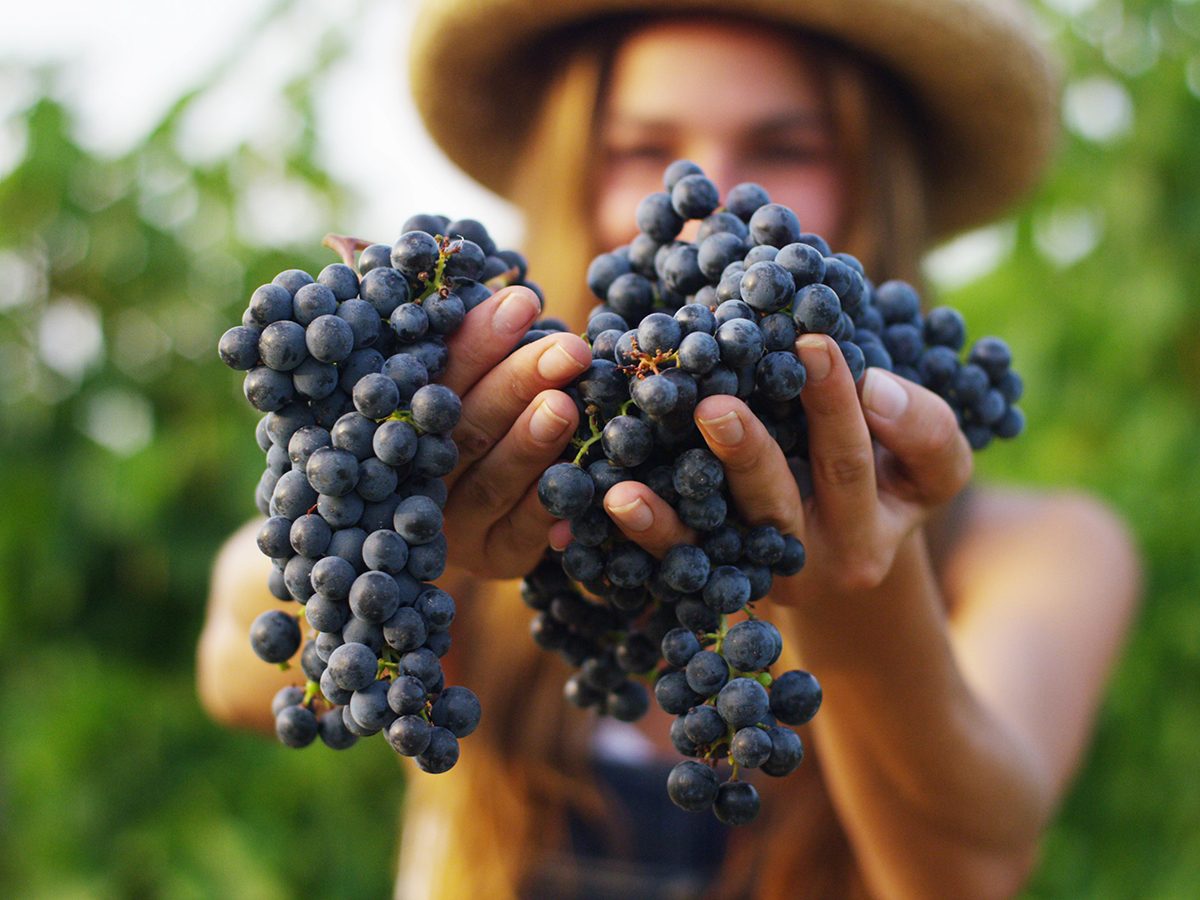 29 Cancer-Fighting Foods: A Nutritionist-Approved Guide