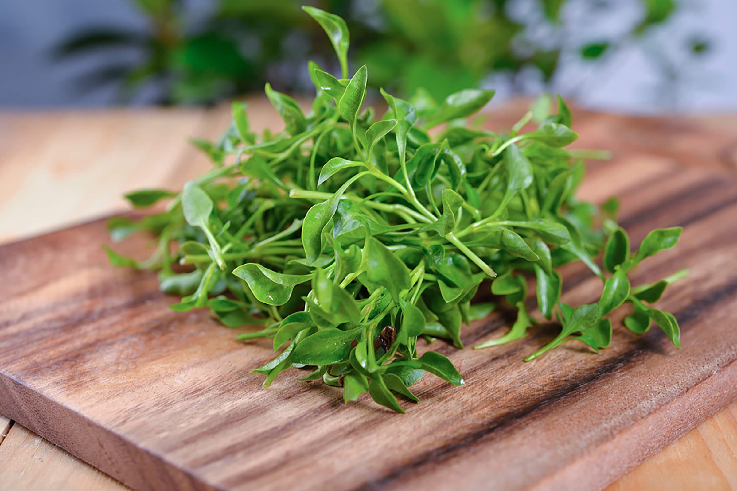 29 Cancer-Fighting Foods: A Nutritionist-Approved Guide