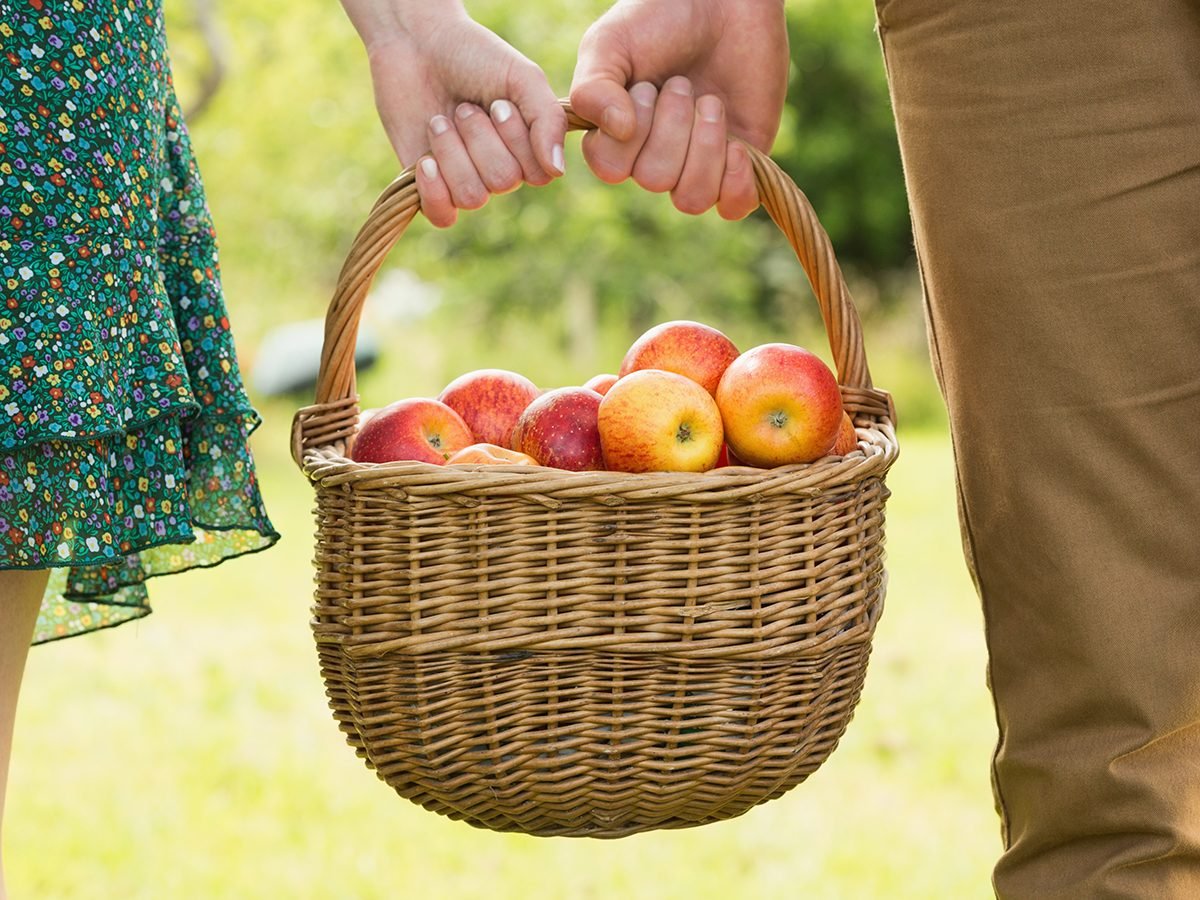 Apple Health Benefits: 7 Science-Backed Reasons to Eat More Apples