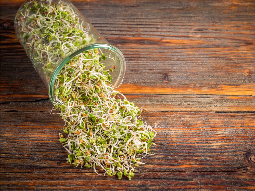 Top 20 Antioxidant-Rich Foods for Health & Wellness