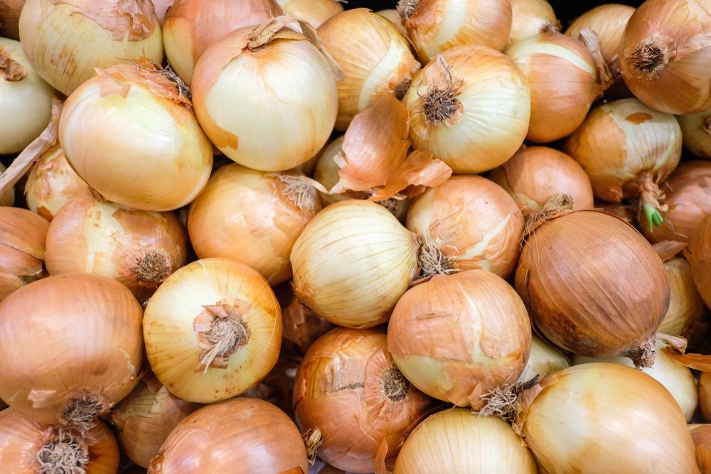 The Power of Raw: 8 Foods to Eat Uncooked for Optimal Health