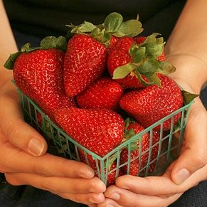 Choosing & Storing Fruits and Berries: A Smart Guide
