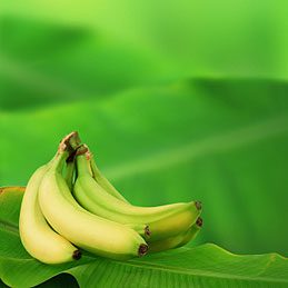 Choosing & Storing Fruits and Berries: A Smart Guide