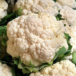 Boost Fiber Intake: 13 Delicious & Easy Ways to Add More to Your Diet