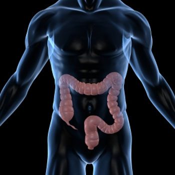 The Powerful Role of Fiber in Disease Prevention