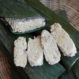 Delicious & Versatile Meat Alternatives for Vegetarians
