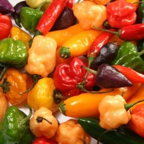 Spicy Foods for Wellness: 5 Flavorful & Healthy Dishes