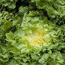 Turnip Greens & Kale: Flavor, Texture & Cooking Tips