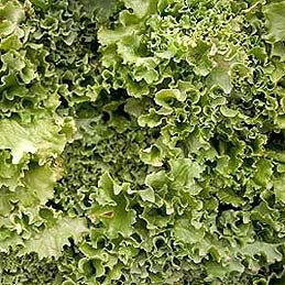 Turnip Greens & Kale: Flavor, Texture & Cooking Tips