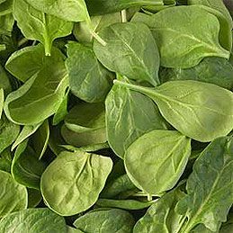 Turnip Greens & Kale: Flavor, Texture & Cooking Tips
