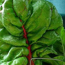 Turnip Greens & Kale: Flavor, Texture & Cooking Tips