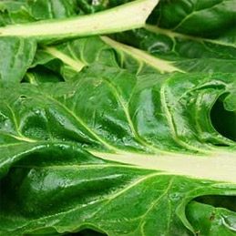 Turnip Greens & Kale: Flavor, Texture & Cooking Tips