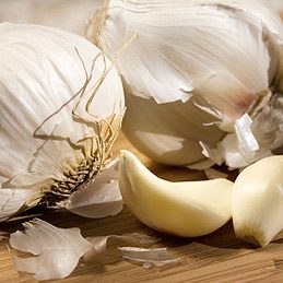 Anise: Ancient Spice for Libido, Lactation & Relaxation