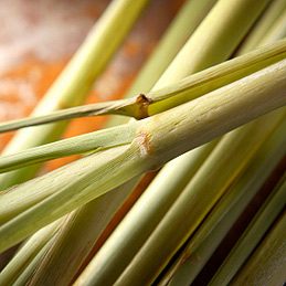 Anise: Ancient Spice for Libido, Lactation & Relaxation