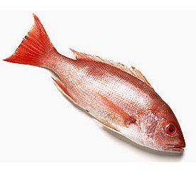 Surprising Food Facts: 5 Things You Didn t Know