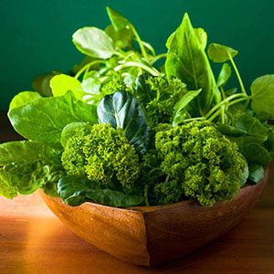 Heart-Healthy Foods: Top 12 Choices & Budget-Friendly Tips