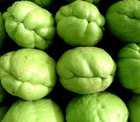 10 Delicious Fruits & Vegetables to Boost Your Nutrition