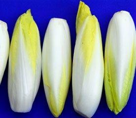 10 Delicious Fruits & Vegetables to Boost Your Nutrition