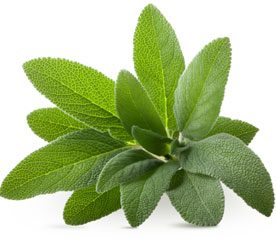 7 Pain-Relieving Foods: Natural Ways to Reduce Inflammation