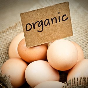 Choosing Quality Eggs: A Comprehensive Guide to Egg Labels
