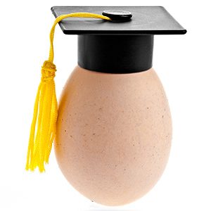 Choosing Quality Eggs: A Comprehensive Guide to Egg Labels