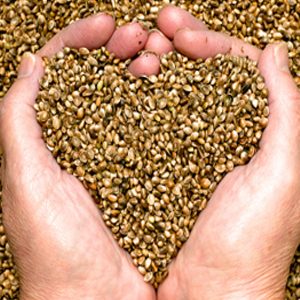 Best Milk Alternatives: A Comprehensive Guide (Almond & Soy)