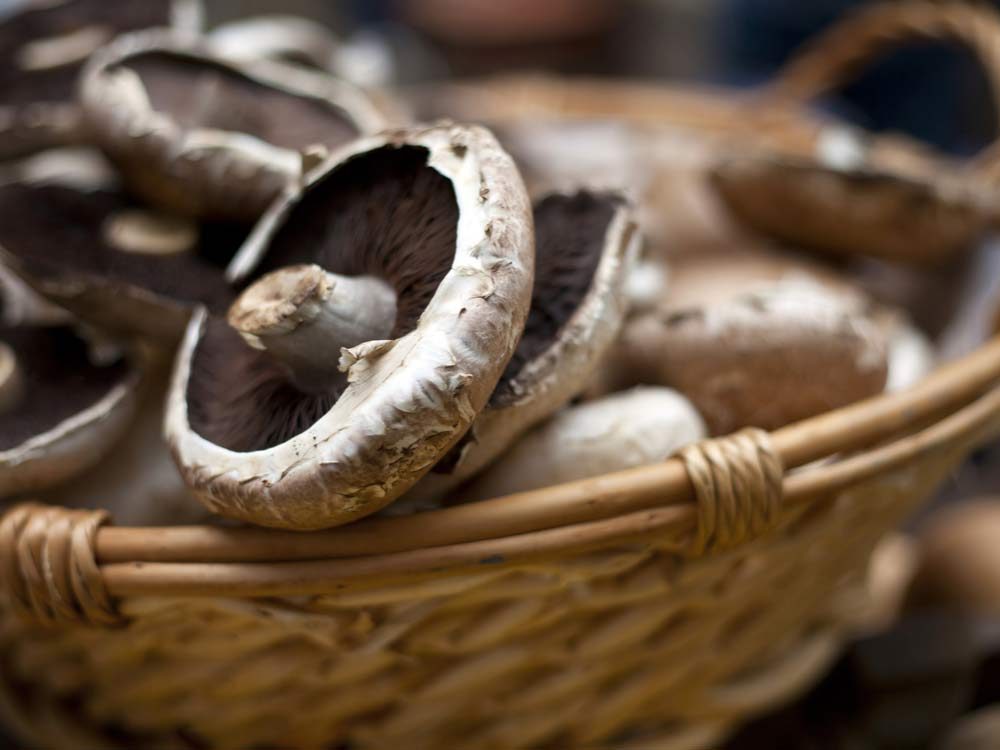 Surprisingly Healthy Summer Foods: 9 Nutrient-Rich Options