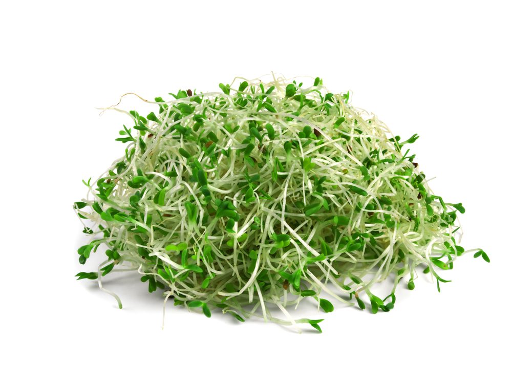 Top 10 Healthiest Vegetables: Boost Your Well-being with These Powerhouses