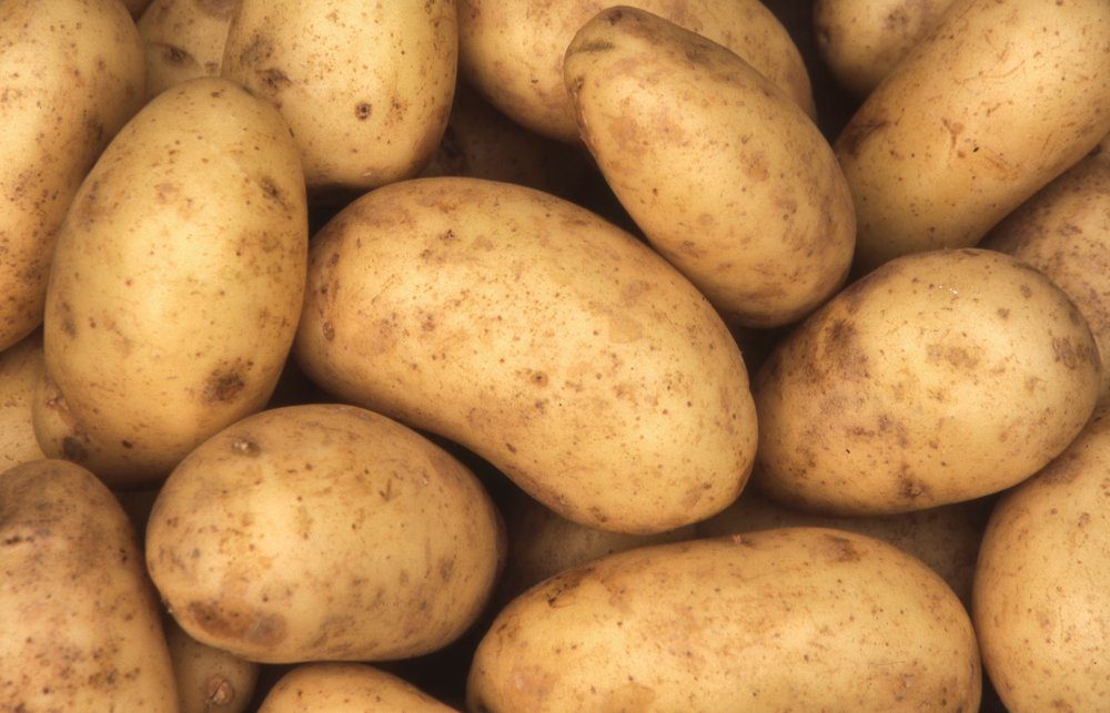 Healthy Weight Gain: 13 Foods to Increase Your Calorie Intake