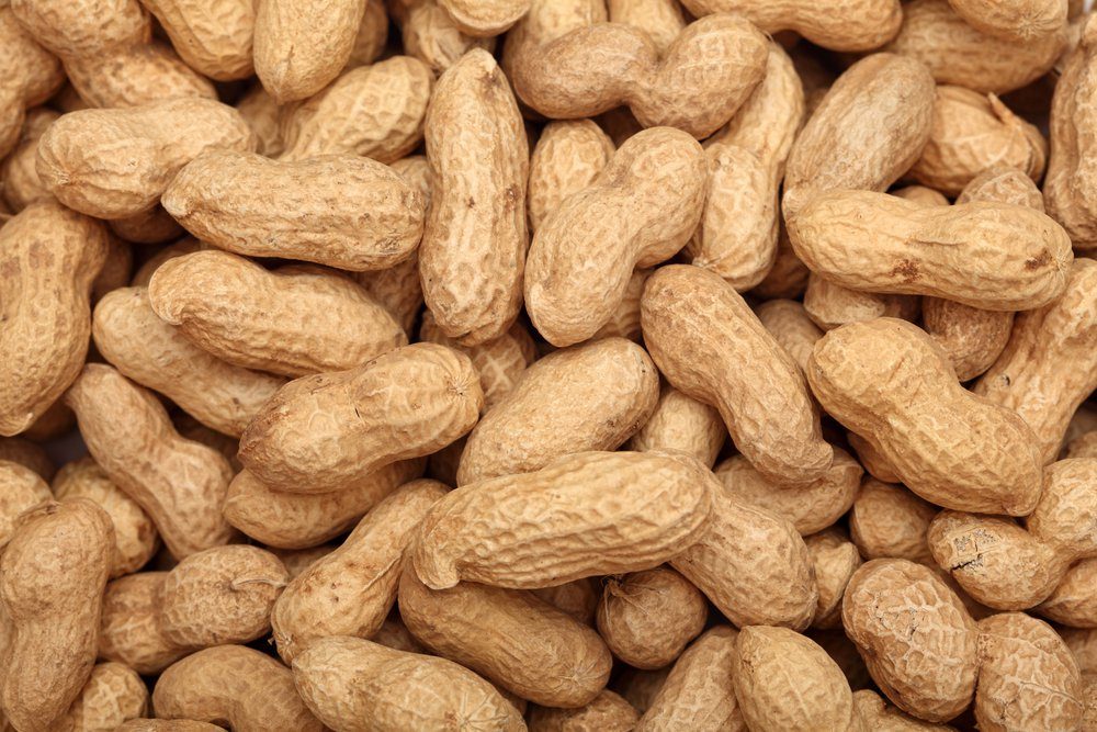 Healthy Weight Gain: 13 Foods to Increase Your Calorie Intake