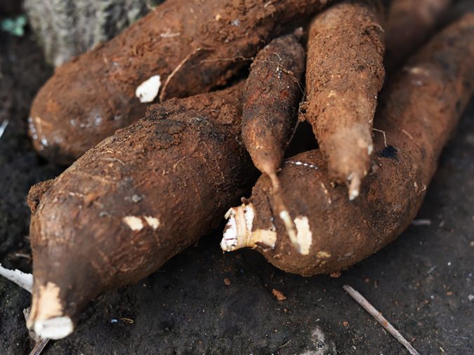 13 Foods That Are Dangerous to Eat Raw: A Nutritionist s Guide