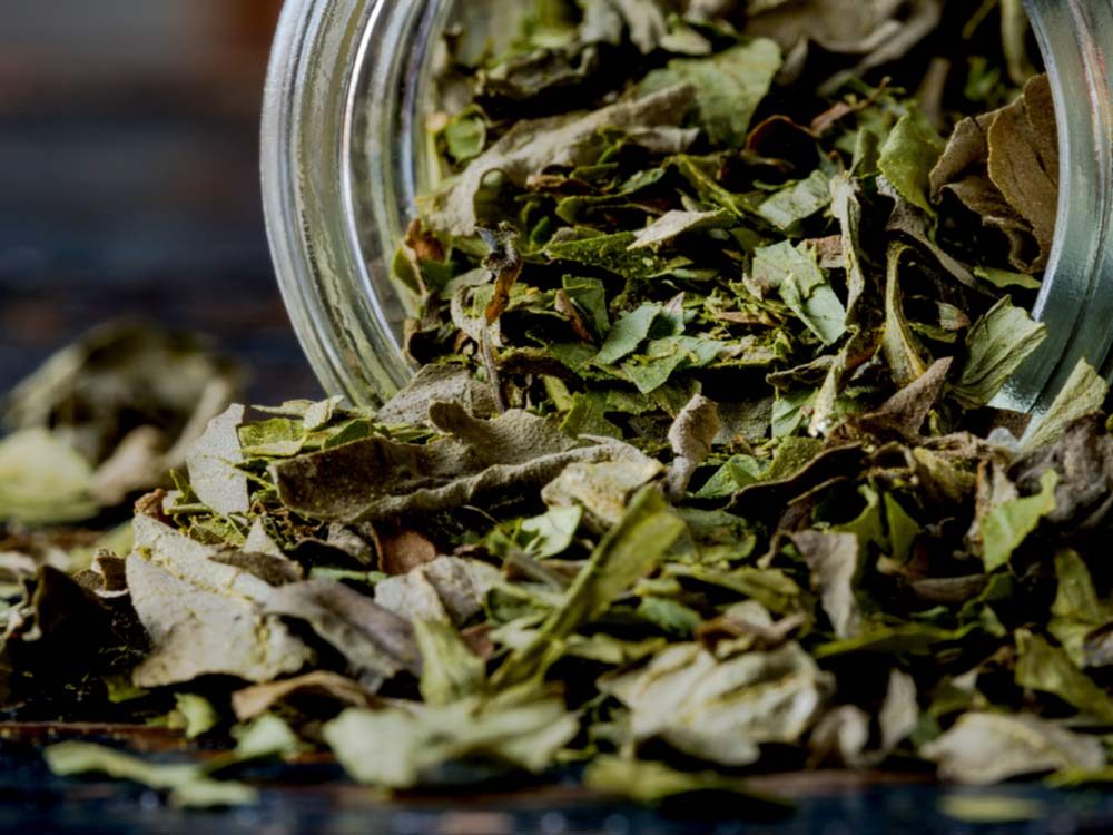 Parsley: 10 Surprising Health Benefits You Need to Know