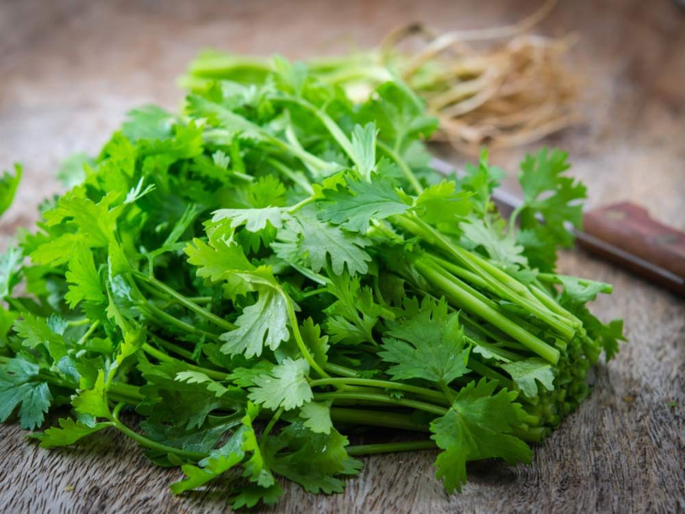 Parsley: 10 Surprising Health Benefits You Need to Know