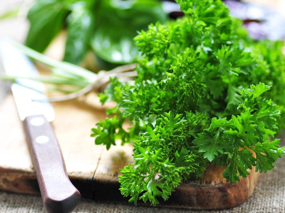 Parsley: 10 Surprising Health Benefits You Need to Know