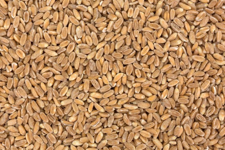 Healthy BBQ Foods: 14 Delicious & Nutritious Options