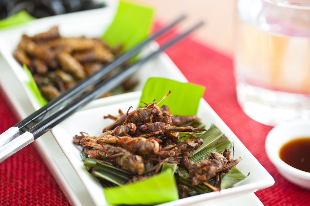 Sustainable Eating: 10 Healthy Habits for You & the Planet