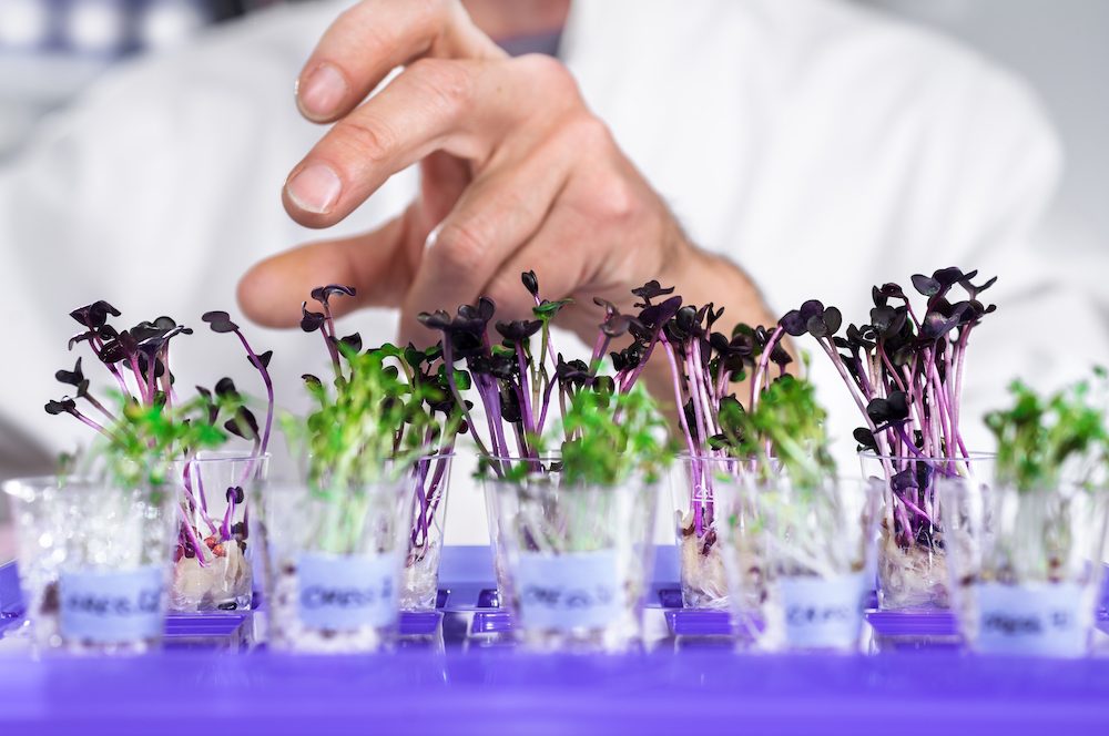Sustainable Eating: 10 Healthy Habits for You & the Planet